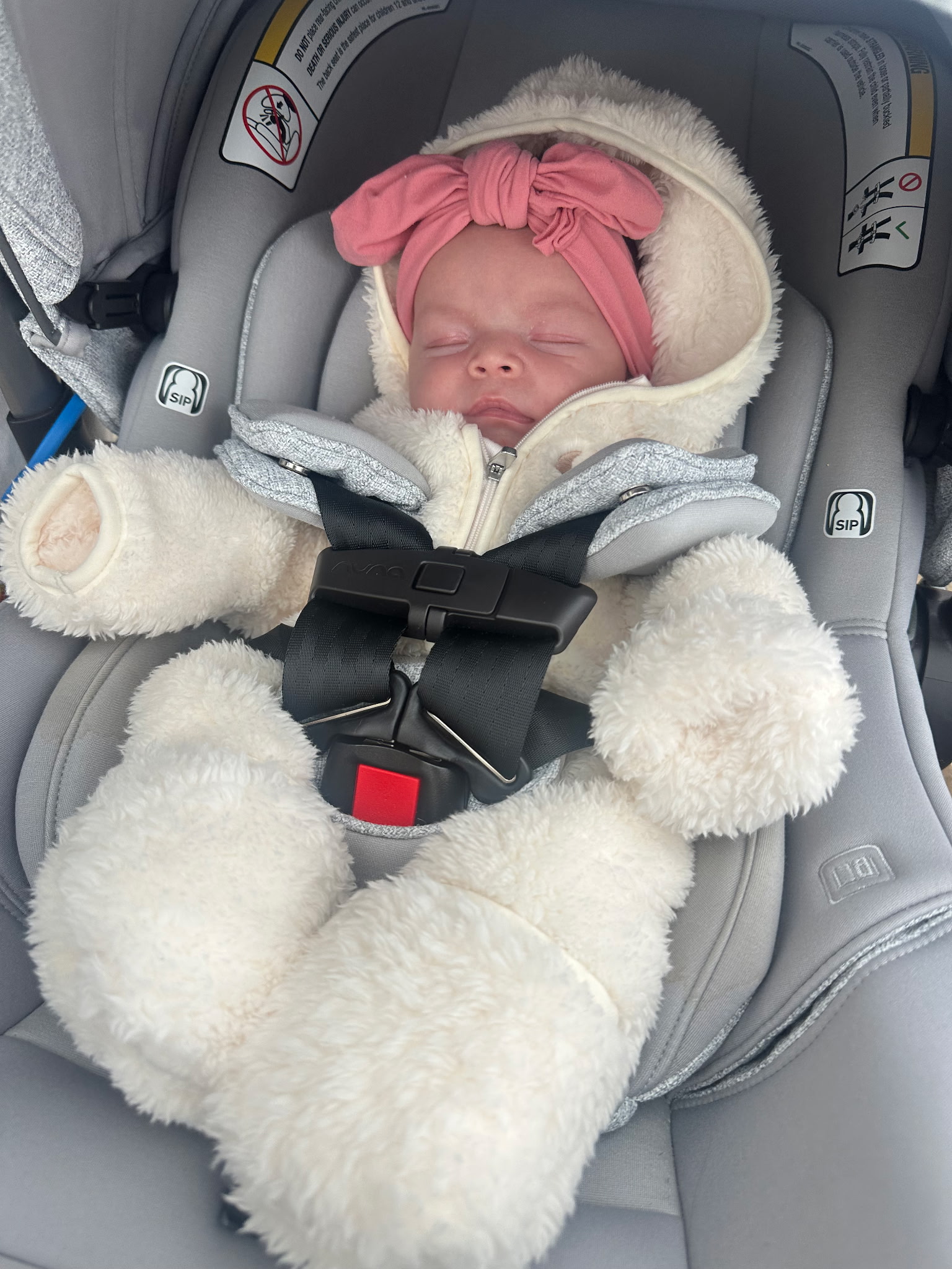 Coral asleep with a pink bow