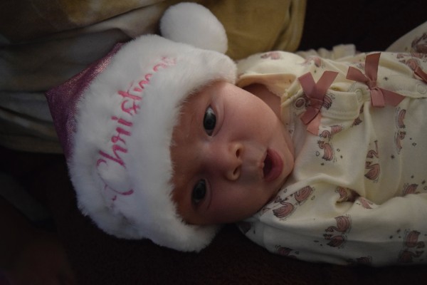 Coral at Christmas